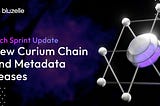 Oct 25, 2024 Tech Sprint Update: New Curium Chain and Metadata Leases