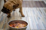 Beef Bones for Dogs in Florida and the Advantages of Raw Pet Food