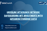 UNVEILING BITSCRUNCH NETWORK: SAFEGUARDING NFT INVESTMENTS WITH ADVANCED FORENSIC DATA