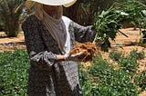 Mountains can meet: farming the desert with microbes, not fertilizers