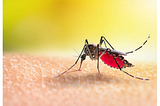 Malaria Prevention & Control: