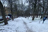 snowfall in a park in Edinburgh called The Meadows