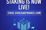 DogeDao Staking ~ Now Live