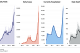 The Dark COVID-19 Winter in Charts