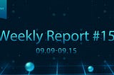 Epiphany Weekly Report #15