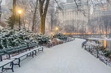 Central Park in the snow