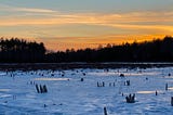 It Came From the Pond: The Definitive Anthology of Knight’s Pond History