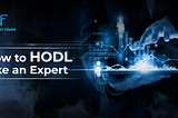 How to HODL Like an Expert