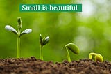 Small is beautiful, start small