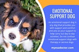 Emotional Support Dog