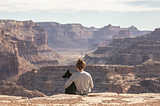 Person on their own looking out at canyon with their dog.