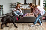 DIY Pet-Friendly Home: Design Tips and Projects for Your Furry Friends