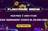 Flokiverse Arena — the foretaste of what’s to come