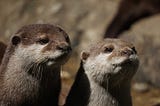 Ask Polly: Lightning Round!