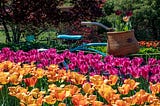 Springtime and Hope Brighten Lives