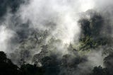 Biodiversity and Climate Crisis in one of the World’s Most Biodiverse Places.