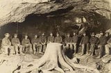 In 1918, coal miners made a surprising discovery deep in the mine: the remains of a petrified tree…