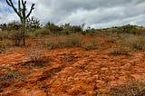 Land degradation in the Semiarid Region of Bahia, Brazil.