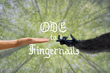 An Ode to Fingernails, Humanity’s Loyal Companions