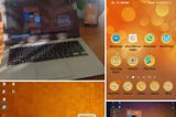 SAP Branding and Corporate Identity