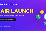 Introducing Punk Protocol Fair Launch