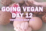 Going Vegan D12 — Vietnamese Soup Fail