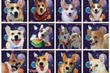 CheekyCorgi NFT project update v2