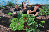 Horta comunitária promove economia, agricultura urbana e educação alimentar