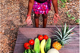 Benefits of Elementary Gardening Initiatives.