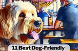 A dog sitting beside its owner at a dog-friendly restaurant in Dallas.