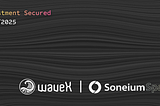 waveX Secures Investment from Soneium Spark Fund