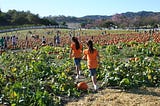 My sister and I on the hunt for the quintessential pumpkin in 2009.