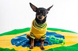 A Surprise Win for the Brazilian Small Business Underdog