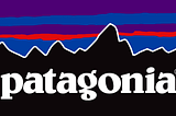 Patagonia’s Go-to-Market Strategy as a Startup