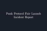 Punk Protocol Fair Launch Incident Report