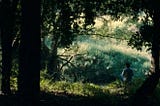 A Spiritual and Sensual Journey Inside Apichatpong’s Forest