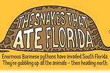The Snakes That Ate Florida