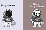 What do you need to become a Senior Programmer?