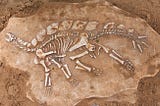 Advertising Creative Strategies Are Like Fossils