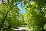 Enjoying the Summer Greens on Our First Camping Trip of the Season