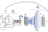 Understanding and visualizing SE-Nets