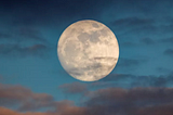 A New Moon Rises