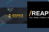 Introducing REAPit Wallet on Binance Smart Chain.