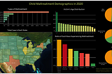 Understanding the Demographics of Child Maltreatment in the USA