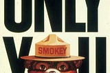 Only You Can’t Prevent Forest Fires… or Emotional Fire