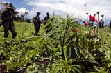 RE-THINKING THE GLOBAL WAR ON DRUGS