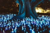 The Best Books of 2025
