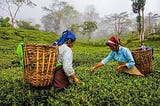 The little-known stories of Indian tea