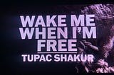 Tupac Amaru Shakur: Wake Me When I’m Free