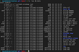 MySQL-Bind Mounts